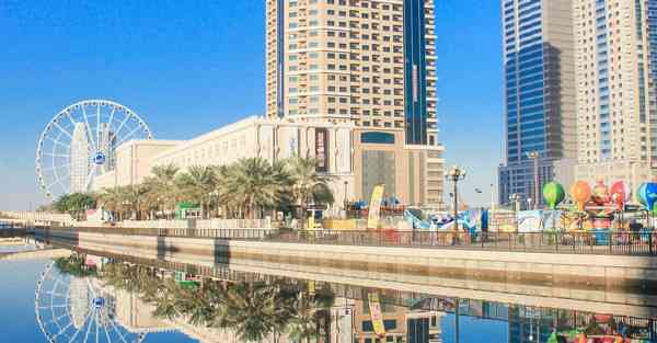 大数据影视软件