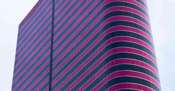 外国语单招大数据的行业文章