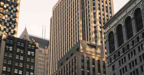 外国语单招大数据的行业文章