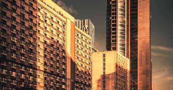 外国语单招大数据的行业文章