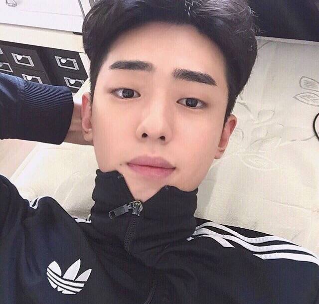 季刚洁振