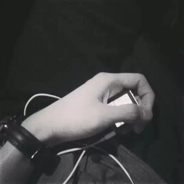 甄晶忠悦