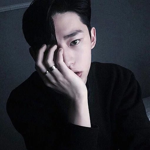 李壮灵君