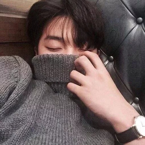 莫彩眉杰