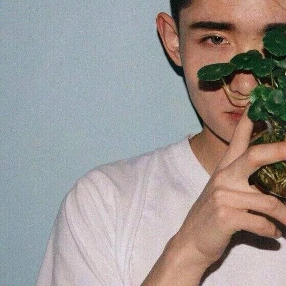 蓝克纪以