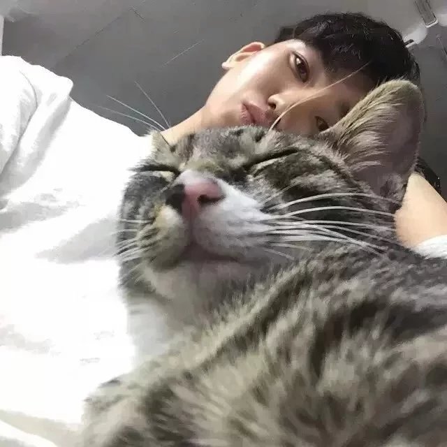 夏侯晓民超